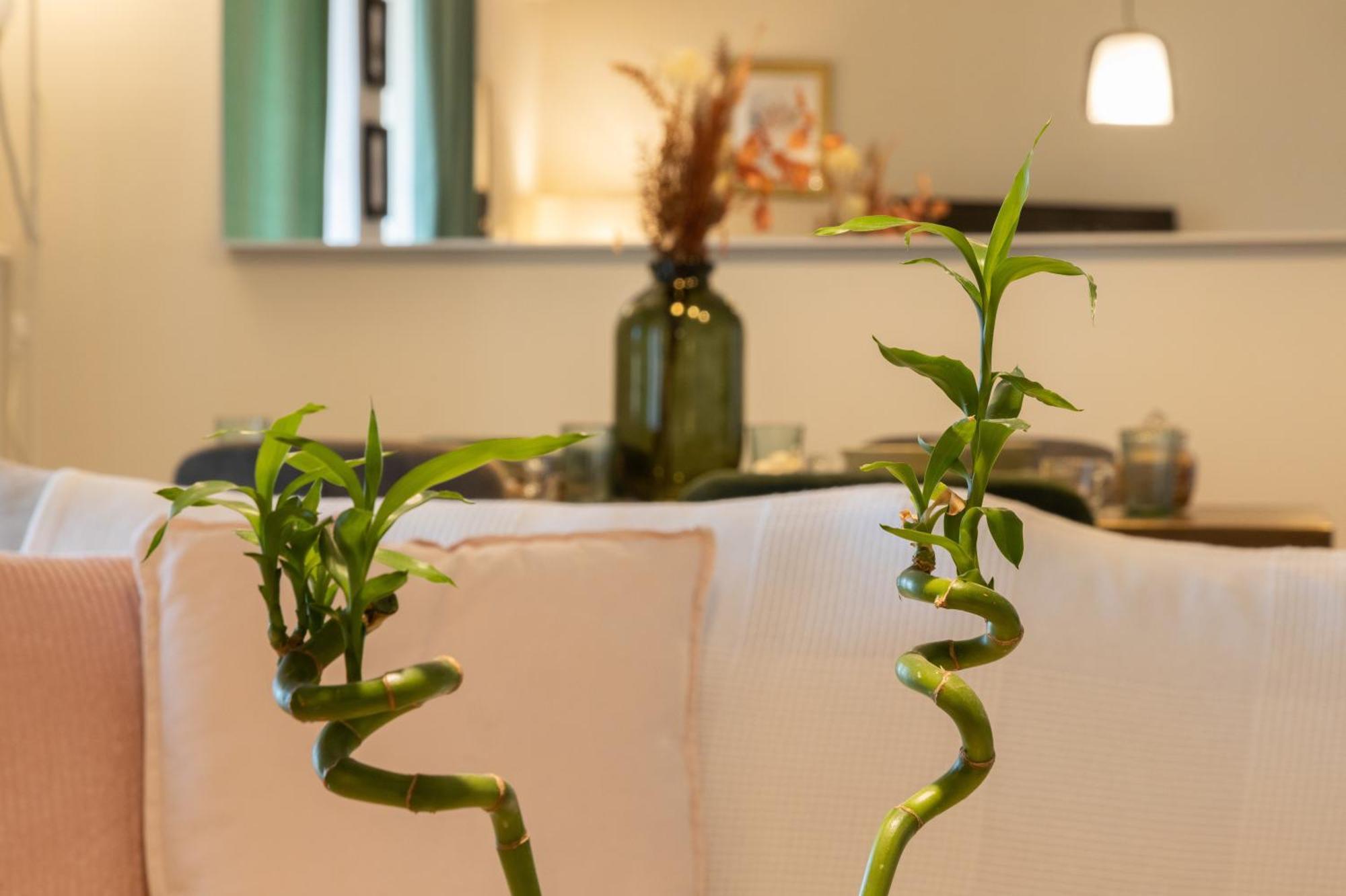 Glyfada Golf Fourth Floor Apartment 아테네 외부 사진
